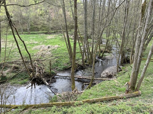 Westwall und Historischer Wanderweg Simonskall
