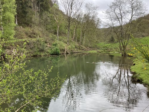 Westwall und Historischer Wanderweg Simonskall