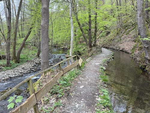 Westwall und Historischer Wanderweg Simonskall