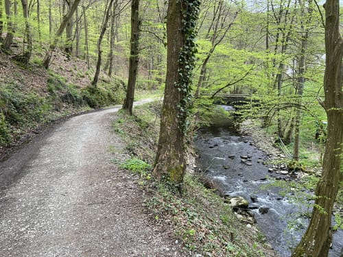 Westwall und Historischer Wanderweg Simonskall