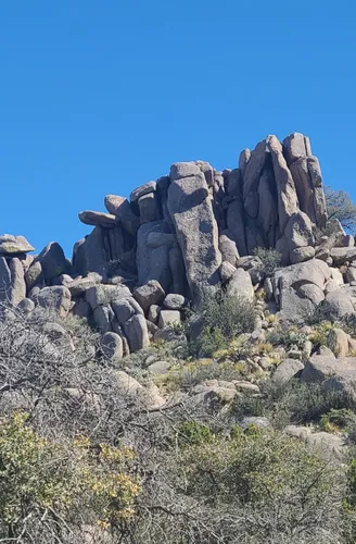 10 Best Trail Running Trails in Elena Gallegos Picnic Area/Albert G ...