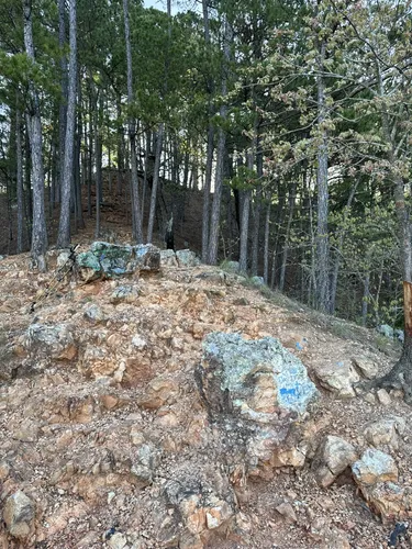 Best Forest Trails in Tahlequah | AllTrails