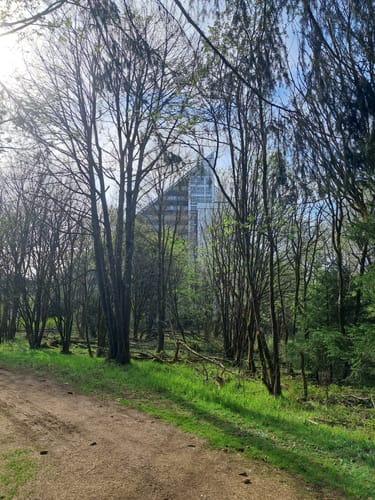 Zum Forsthaus Sattelbach