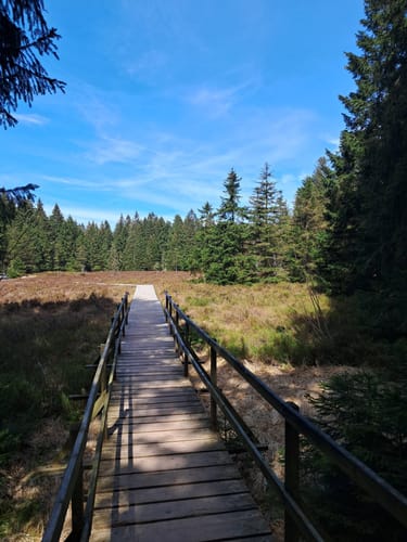 Zum Forsthaus Sattelbach
