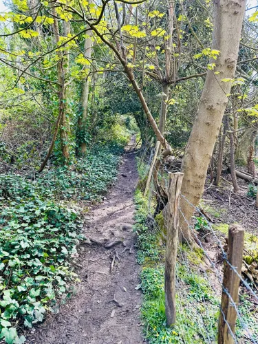 Best Hard Trails In Polegate Alltrails