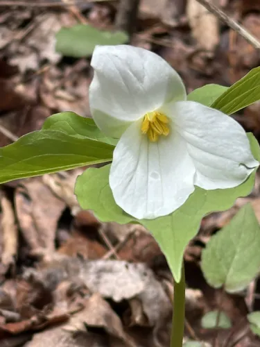 Best Hikes and Trails in Eolia AllTrails