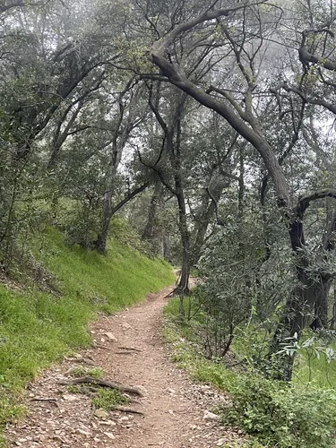 Best Historic Site Trails in Sierra Madre | AllTrails