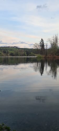 Rund um den Sorpesee