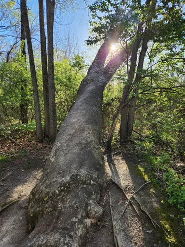 Best Kid Friendly Trails in New Melle AllTrails