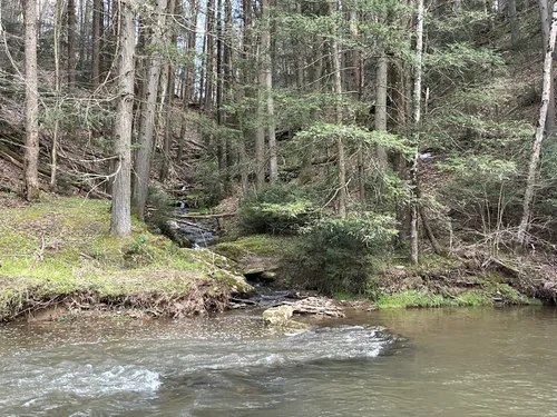 Best forest trails in Rocks State Park | AllTrails