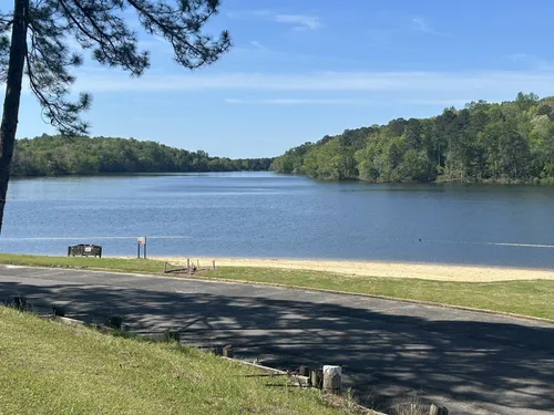 Best Kid Friendly Trails in Coker AllTrails