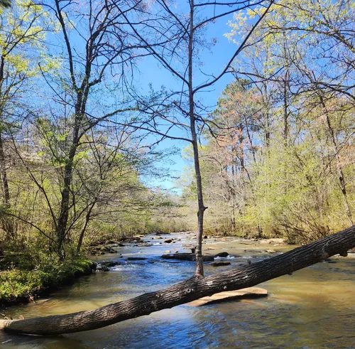 Creek Line