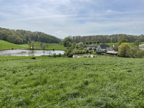 Gerresheim: Rotthäuser Bachtal