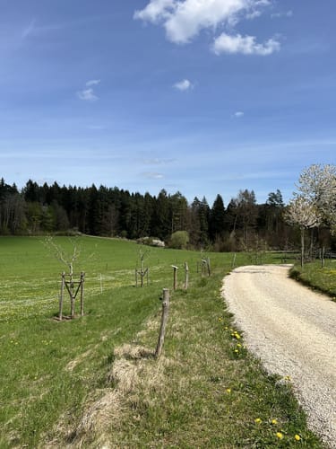 Pegnitztal bei Rupprechtsstegen