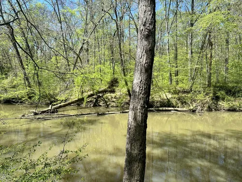 Best Hikes and Trails in Finch Park | AllTrails