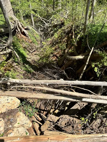 Best Hikes and Trails in Finch Park | AllTrails