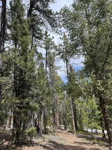 Best Easy Trails in Flying J Ranch Park | AllTrails