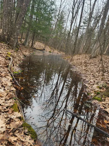 Best Hikes and Trails in Denton Sanctuary | AllTrails