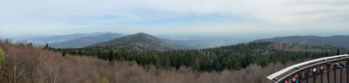 Rundwanderweg 8 Rettenbach - Hirschenstein