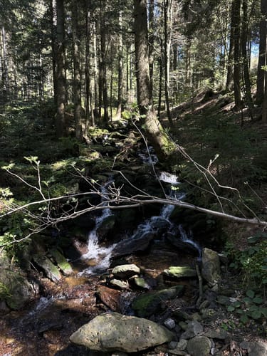 Rundwanderweg 8 Rettenbach - Hirschenstein