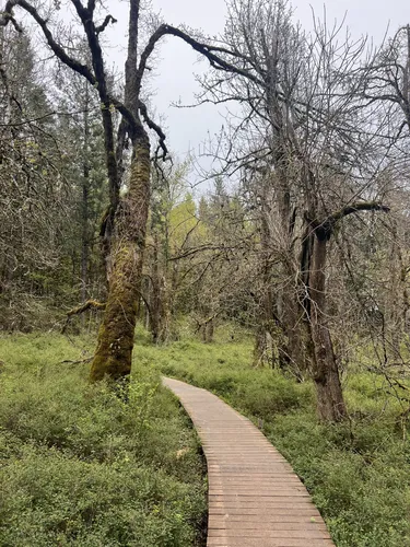 Best Kid Friendly Trails in Mount Talbert Nature Park | AllTrails