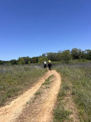 Best Lake Trails In Southlake | AllTrails