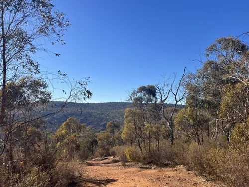 Best Trail Running Trails in Walyunga National Park | AllTrails