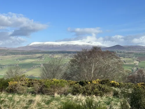 Best River Trails in Dingwall | AllTrails