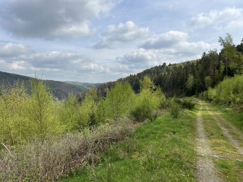 Westwall Weg