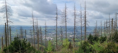 Knollen ab Bergneustadt