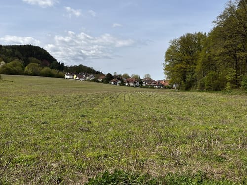 Kindsbach Kandeltal zur Ruine Großerberg