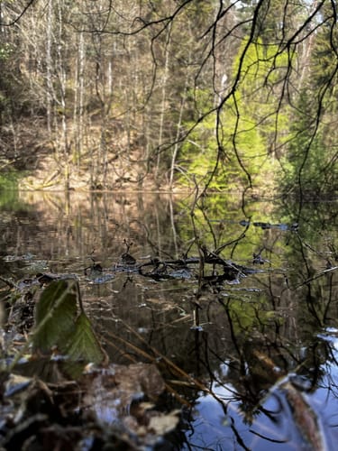 Rund um Dansenberg