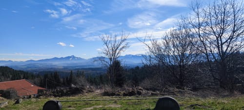 MTB: Taubenberg