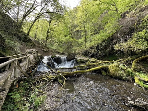 Ehrbachklamm (Traumschleife)