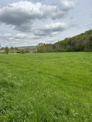 Herrenhölzle Rundweg 3