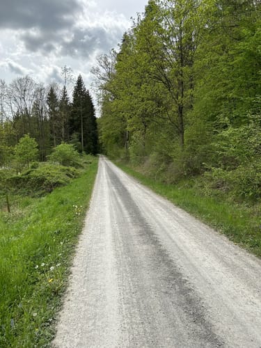 Herrenhölzle Rundweg 3