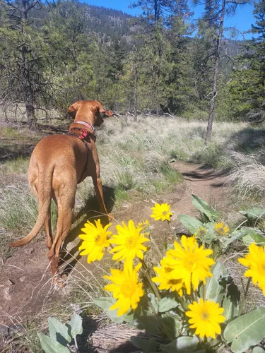 Best Hard Trails in White Lake Grasslands Protected Area | AllTrails