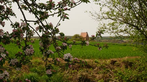 Paradiesgartenweg (Premiumwanderweg)