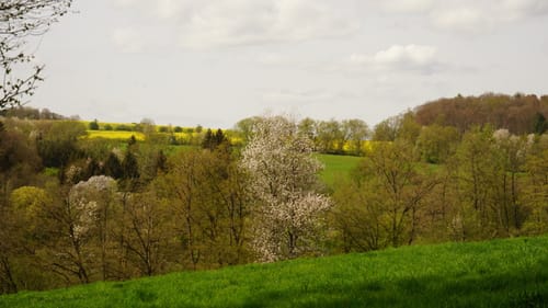 Paradiesgartenweg (Premiumwanderweg)