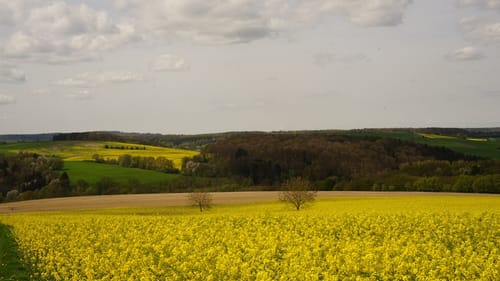 Paradiesgartenweg (Premiumwanderweg)