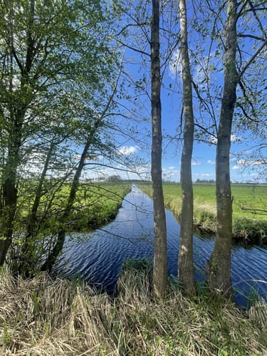 Wanderung in Ueckermünde am Stettiner Haff