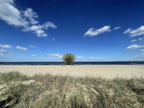 Wanderung in Ueckermünde am Stettiner Haff