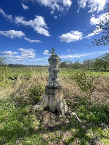 Wanderung in Ueckermünde am Stettiner Haff