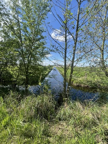 Wanderung in Ueckermünde am Stettiner Haff