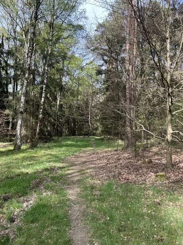 Naturschutzgebiet „Am Oberhof bei Großen-Linden“