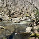 Cascades Falls Trail, Virginia - 2,477 Reviews, Map | AllTrails