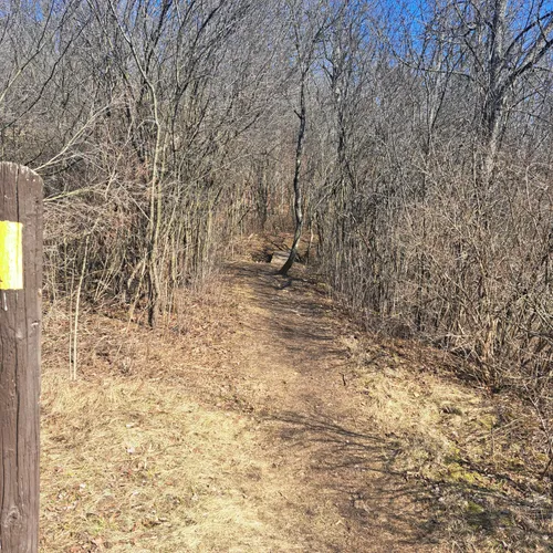 Best Hikes and Trails in Kettle Moraine State Forest Loew Lake Unit