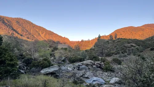 Best Wild Flowers Trails in Paskenta AllTrails