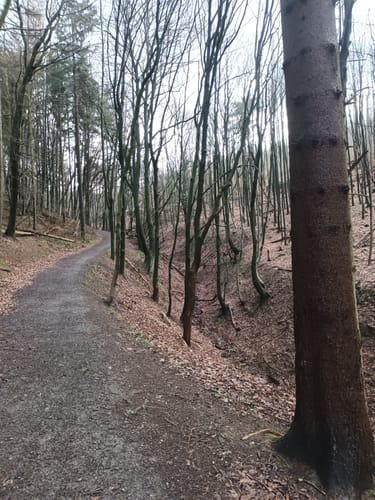 Rundwanderweg 3 Bad Nenndorf
