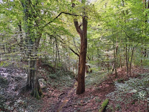 Golfplätze bei Fröndenberg Rundweg